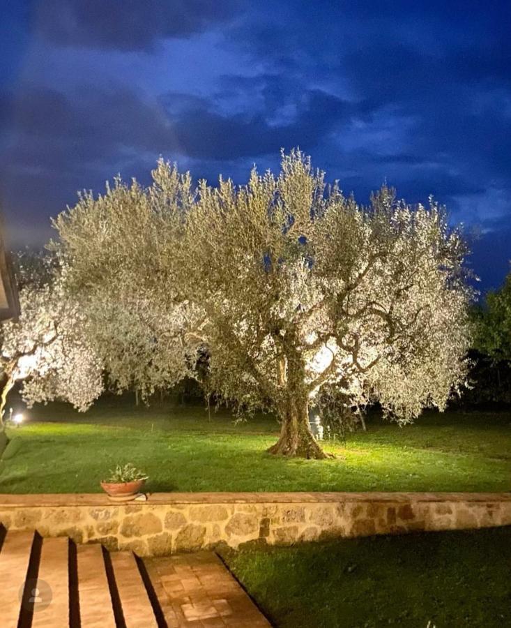 Agriturismo Eco-Bio Villa Vacasio بيتيجليانو المظهر الخارجي الصورة