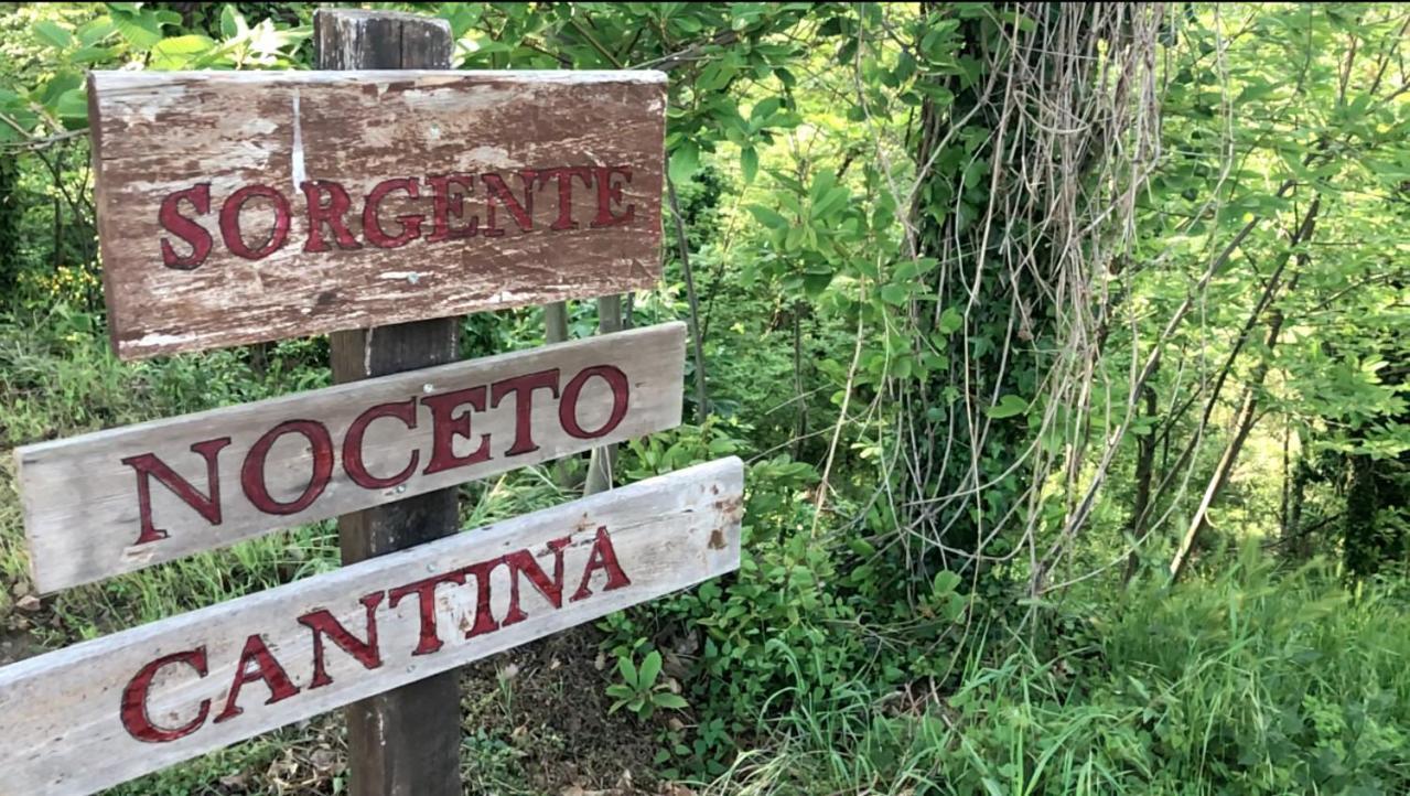 Agriturismo Eco-Bio Villa Vacasio بيتيجليانو المظهر الخارجي الصورة