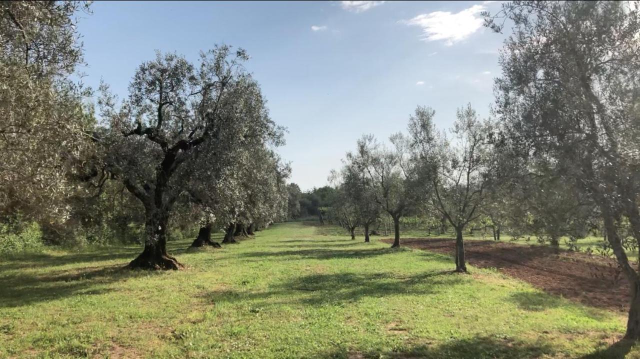 Agriturismo Eco-Bio Villa Vacasio بيتيجليانو المظهر الخارجي الصورة